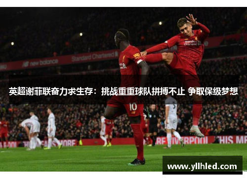 英超谢菲联奋力求生存：挑战重重球队拼搏不止 争取保级梦想